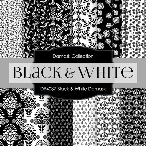 Black and White Damask Digital Paper DP4037