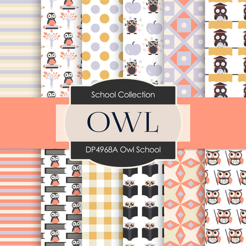Owl School Digital Paper DP4968A - Digital Paper Shop - 1