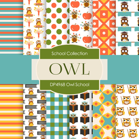 Owl School Digital Paper DP4968 - Digital Paper Shop - 1