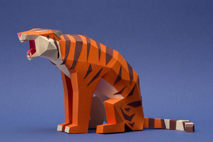 Using Tiger Paper