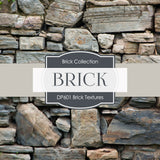 Brick Wall Digital Paper DP601A