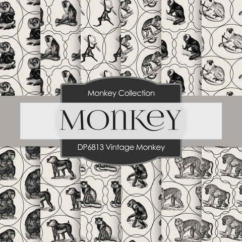 Vintage Monkey Digital Paper DP6813