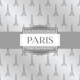 Silver Paris Prints Digital Paper DP887 - Digital Paper Shop