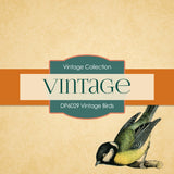 Vintage Birds Digital Paper DP6029 - Digital Paper Shop - 2