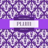 Plum Digital Paper DP846 - Digital Paper Shop - 4