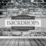 Distressed Backdrops Digital Paper DP660 - Digital Paper Shop - 2
