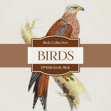 Exotic Birds Digital Paper DP4246 - Digital Paper Shop