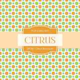 Citrus Bouquet Digital Paper DP281 - Digital Paper Shop