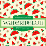 Watermelon Digital Paper DP4941 - Digital Paper Shop