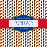 Belize Digital Paper DP6145 - Digital Paper Shop