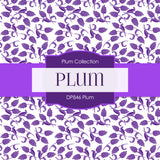 Plum Digital Paper DP846 - Digital Paper Shop - 2