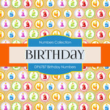 Birthday Numbers Digital Paper DP6787 - Digital Paper Shop