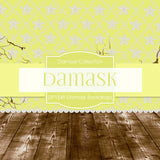 Damask Backdrops Digital Paper DP1549 - Digital Paper Shop