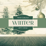 Winter Digital Paper DP711 - Digital Paper Shop - 3