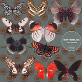 Butterflies Digital Paper DP3525 - Digital Paper Shop