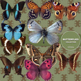 Butterflies Digital Paper DP3526 - Digital Paper Shop