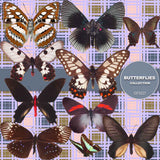 Butterflies Digital Paper DP3527 - Digital Paper Shop