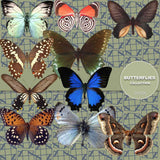 Butterflies Digital Paper DP3528 - Digital Paper Shop