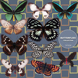 Butterflies Digital Paper DP3528 - Digital Paper Shop