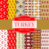 Turkey Digital Paper DP4211 - Digital Paper Shop