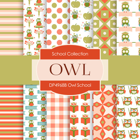 Owl School Digital Paper DP4968B - Digital Paper Shop - 1