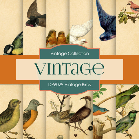 Vintage Birds Digital Paper DP6029 - Digital Paper Shop - 1