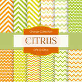 Citrus Digital Paper DP612B - Digital Paper Shop - 1