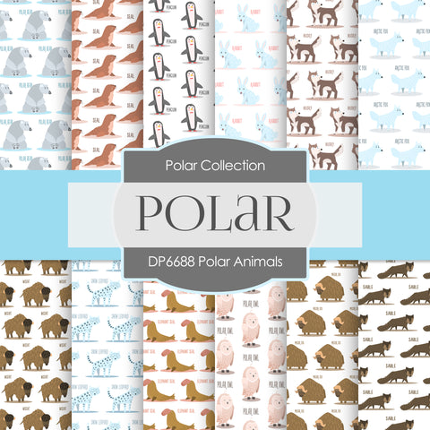 Polar Animals Digital Paper DP6688 - Digital Paper Shop