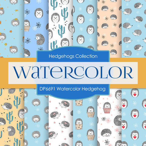 Watercolor Hedgehog Digital Paper DP6691 - Digital Paper Shop