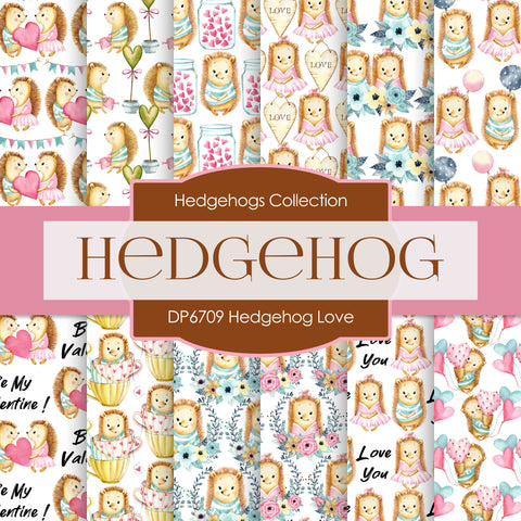 Hedgehog Love Digital Paper DP6709 - Digital Paper Shop